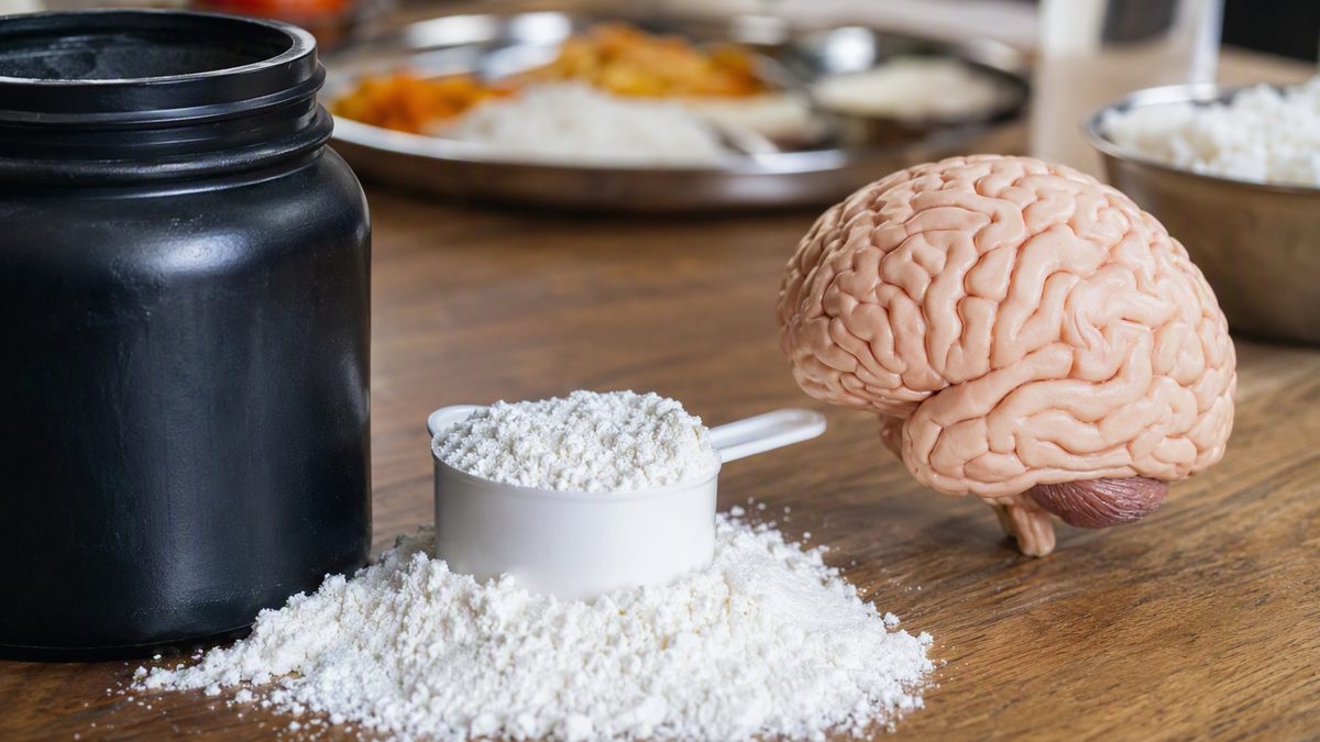 Creatine powder with brain illustration on desk