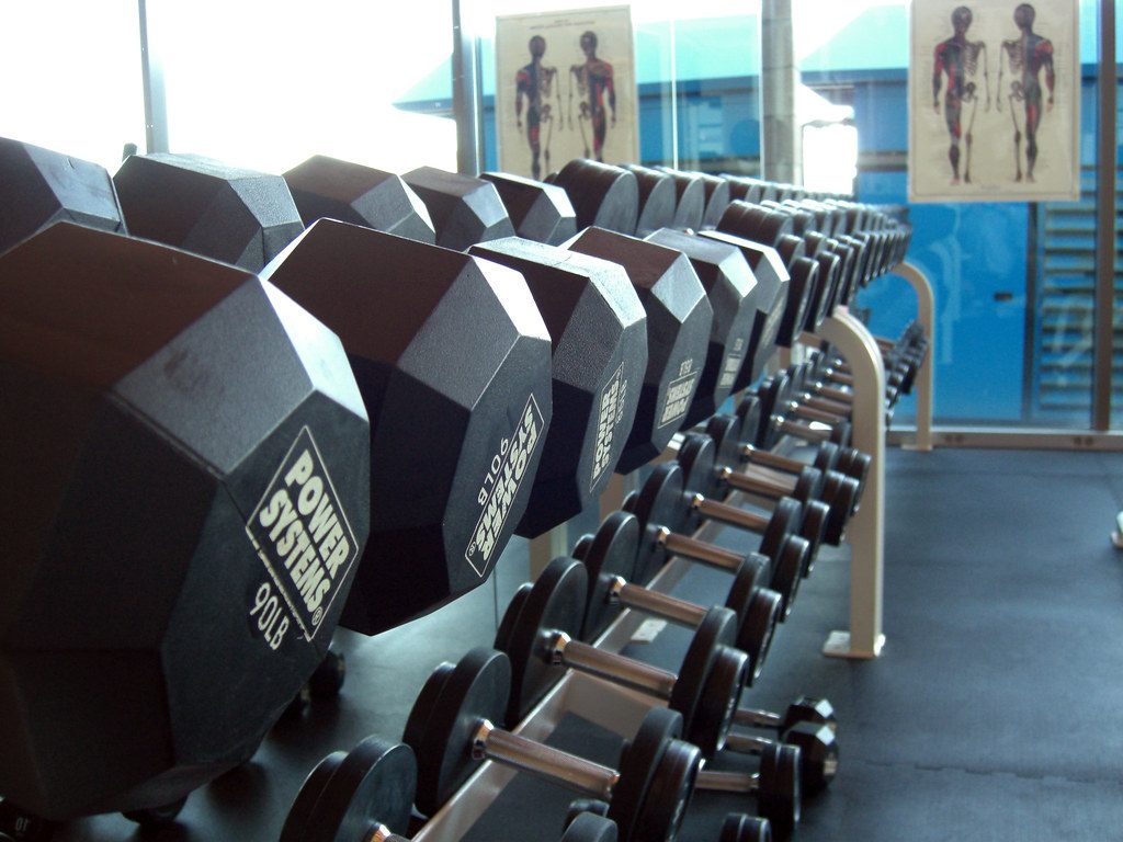 Rows of dumbbells on rack