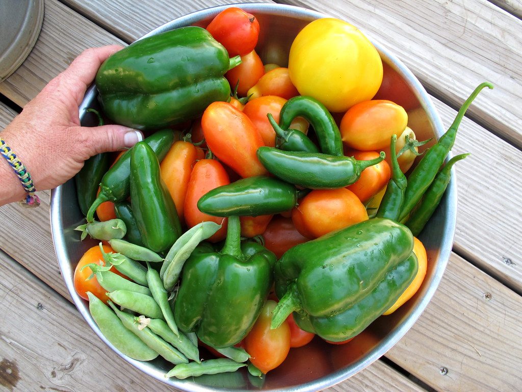 Bowl of peppers and peas