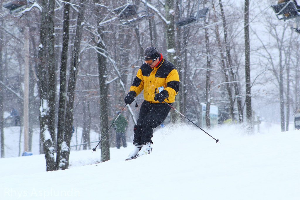 Skier skiing through snowy woods